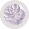 Watsonx.ai网站图标